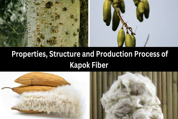 Kapok Fiber Properties Structure and Production Process