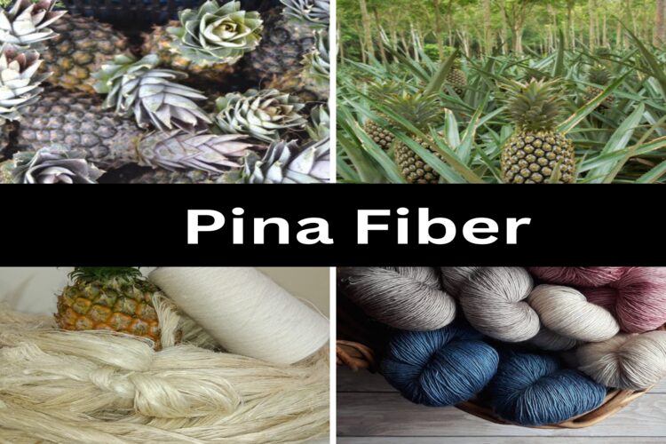 Pina fiber