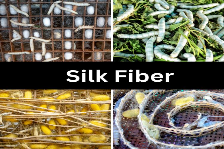 silk fiber