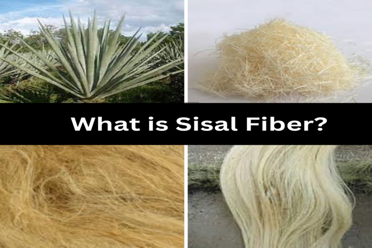sisal fiber