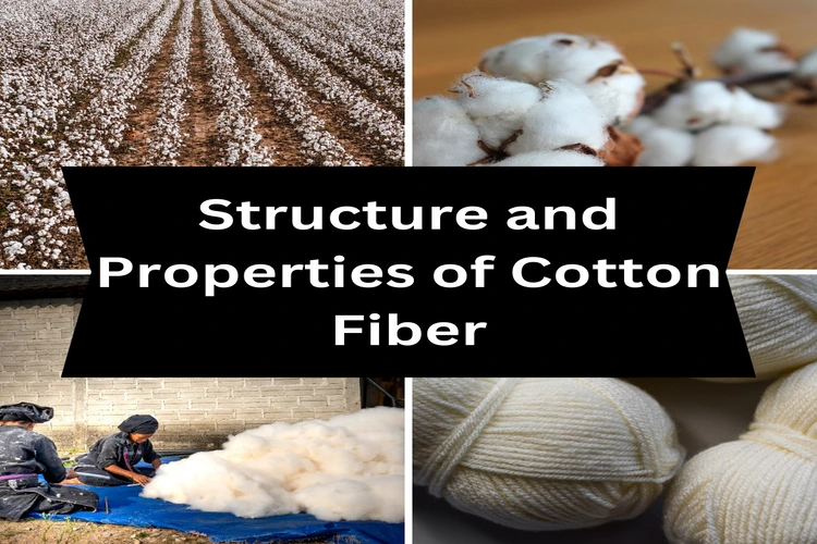 Structure and Properties of Cotton Fiber