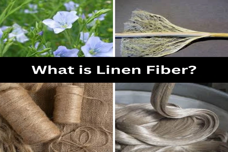 What is Linen Fiber? Properties, Structure, and How It Made?
