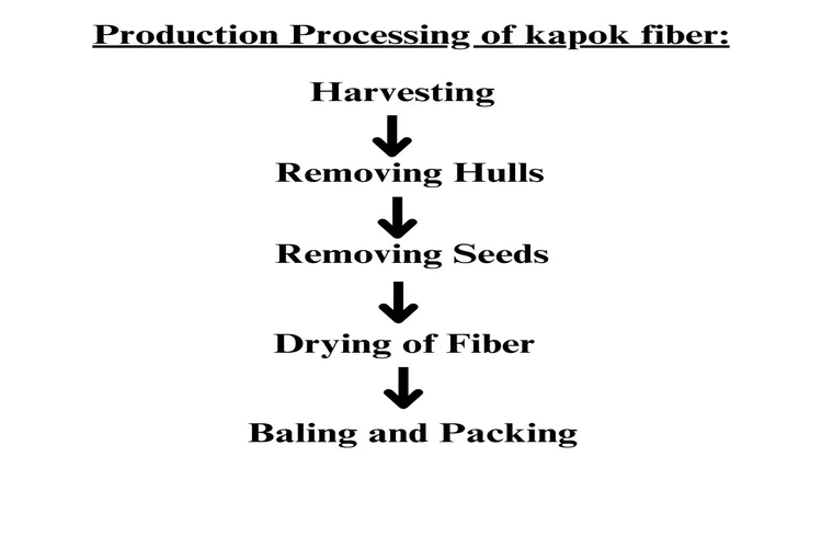 Production flowchart of kapok fiber
